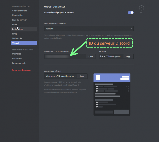 parametres_du_serveur_discord.png
