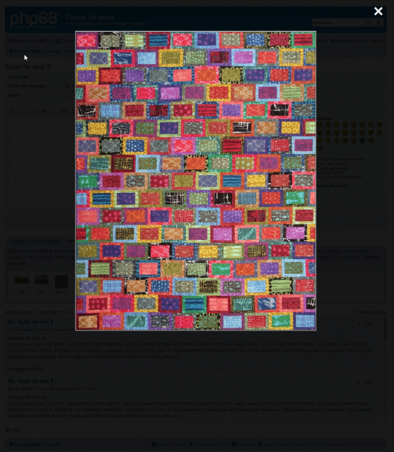 page_de_l_editeur_de_texte_complet_onglet_des_fichiers_image_transferes_apercu__d_une_image.png (2 Mio) Vu 58290 fois page_de_l_editeur_de_texte_complet_onglet_des_fichiers_image_transferes_apercu__d_une_image.png