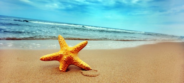 vacances-ete.jpg (154.86 Kio) Vu 31944 fois vacances-ete.jpg